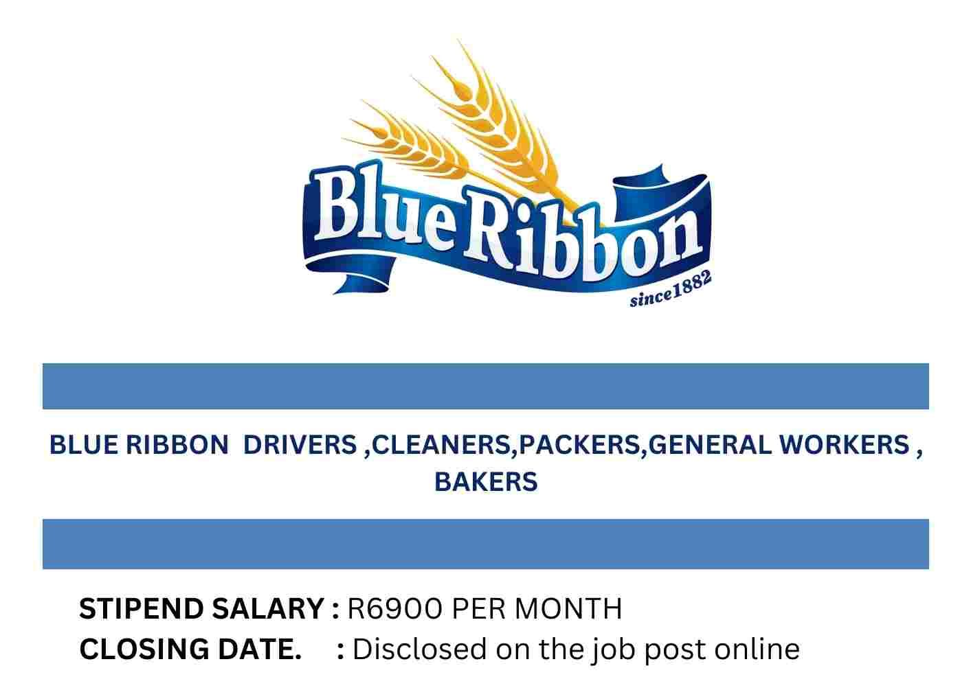 [Posts x100] Blue Ribbon Vacancies – Discover New Openings Career Opportunities